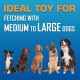 Nerf Dog Atomic Flyer, 10-inch, Red Nerf Dog Atomic Flyer, 10-inch, Red
