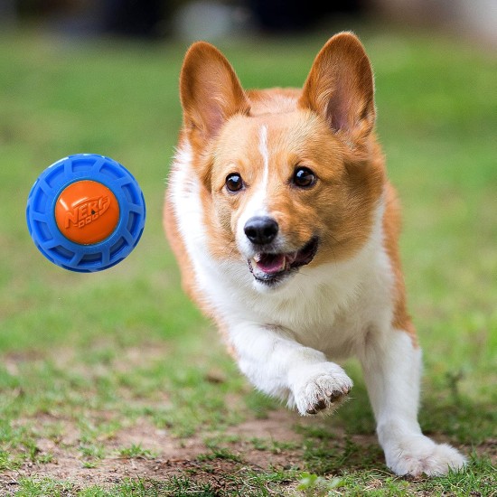 Nerf Dog Exo Squeaky Dog Toy TPR 11.5" Blue/Orange Nerf Dog Exo Squeaky Dog Toy TPR 11.5" Blue/Orange