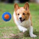 Nerf Dog Exo Squeaky Dog Toy TPR 11.5" Blue/Orange Nerf Dog Exo Squeaky Dog Toy TPR 11.5" Blue/Orange
