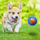 Nerf Dog Exo Squeaky Dog Toy TPR 11.5" Blue/Orange Nerf Dog Exo Squeaky Dog Toy TPR 11.5" Blue/Orange