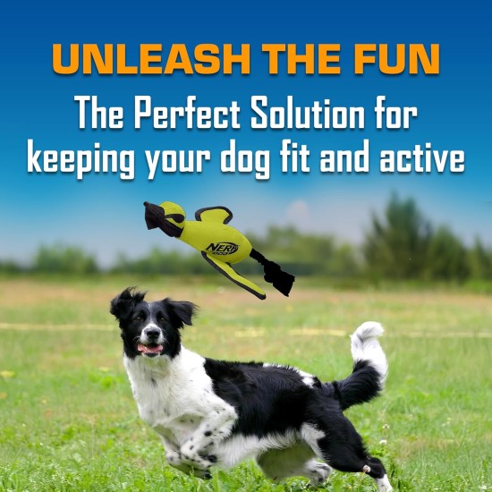 Nerf Dog Large Nylon Duck, Interactive Design, Green Nerf Dog Large Nylon Duck, Interactive Design, Green