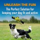 Nerf Dog Large Nylon Duck, Interactive Design, Green Nerf Dog Large Nylon Duck, Interactive Design, Green