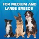 Nerf Dog Nerf Tough Material 12 Piece Dog Toy Gift Set Includes 2.5" Tennis Ball with Squeaker - Multi-Colour Nerf Dog Nerf Tough Material 12 Piece Dog Toy Gift Set Includes 2.5" Tennis Ball with Squeaker - Multi-Colour
