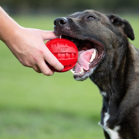 Nerf Dog Squeak Ball Check, red Nerf Dog Squeak Ball Check, red
