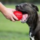 Nerf Dog Squeak Ball Check, red Nerf Dog Squeak Ball Check, red