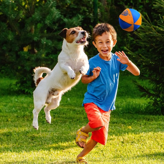 Nerf Dog Trackshot Ball Dog Toy with Interactive Squeaker and Crunch, Lightweight, Durable and Water Resistant, 4.5 Inch for Medium/Large Breeds, Single Unit, Blue/Orange Nerf Dog Trackshot Ball Dog Toy with Interactive Squeaker and Crunch, Lightweight, Durable and Water Resistant, 4.5 Inch for Medium/Large Breeds, Single Unit, Blue/Orange