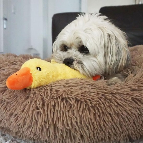 Nobby Emmy Plush Duck 25 cm Nobby Emmy Plush Duck 25 cm