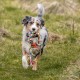 Nobby Playing Rope, 260 g