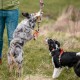 Nobby Playing Rope, 260 g