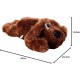 Nobby Plush Dog Floppy for Dogs, for All Sizes, Approx. 52 cm, Pack of 1 Nobby Plush Dog Floppy for Dogs, for All Sizes, Approx. 52 cm, Pack of 1