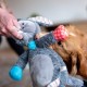 Nobby Plush Donkey Dog Toy 56cm 1 Piece Nobby Plush Donkey Dog Toy 56cm 1 Piece