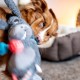 Nobby Plush Donkey Dog Toy 56cm 1 Piece Nobby Plush Donkey Dog Toy 56cm 1 Piece