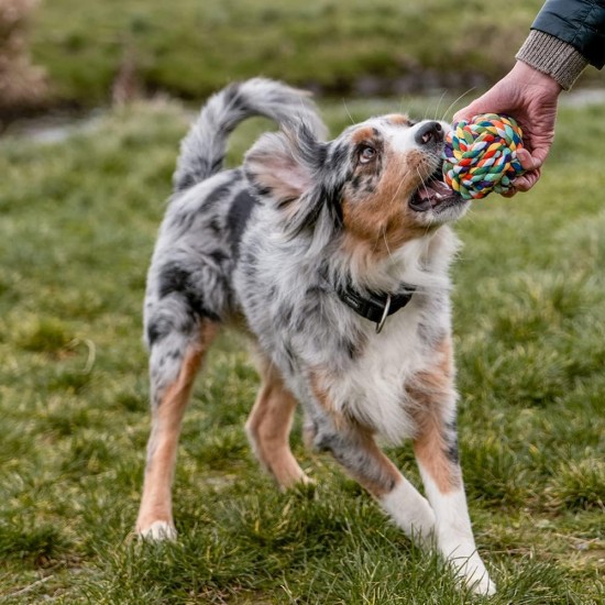 Nobby Rope Toy, Ball, Colourful Diameter 10.0 cm, 280 g, Pack of 1 Nobby Rope Toy, Ball, Colourful Diameter 10.0 cm, 280 g, Pack of 1