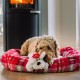 Nobby Xmas Plush Dog Floppy Toy 42 cm, Brown, Pack of 1 Nobby Xmas Plush Dog Floppy Toy 42 cm, Brown, Pack of 1