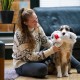 Nobby Xmas Plush Dog Floppy Toy 42 cm, Brown, Pack of 1 Nobby Xmas Plush Dog Floppy Toy 42 cm, Brown, Pack of 1