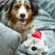Nobby Xmas Plush Dog Floppy Toy 42 cm, Brown, Pack of 1 Nobby Xmas Plush Dog Floppy Toy 42 cm, Brown, Pack of 1