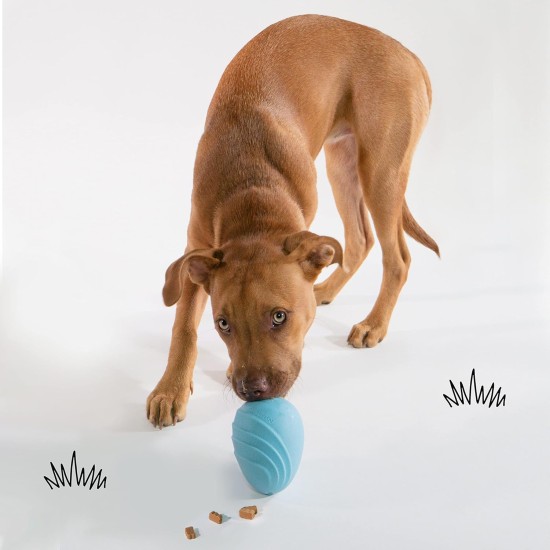 Nylabone Eggi Interactive Dog Toy for Small Dogs - Lightweight Bouncing Floating Dog Toy for Creative Play & Dog Exercises Nylabone Eggi Interactive Dog Toy for Small Dogs - Lightweight Bouncing Floating Dog Toy for Creative Play & Dog Exercises