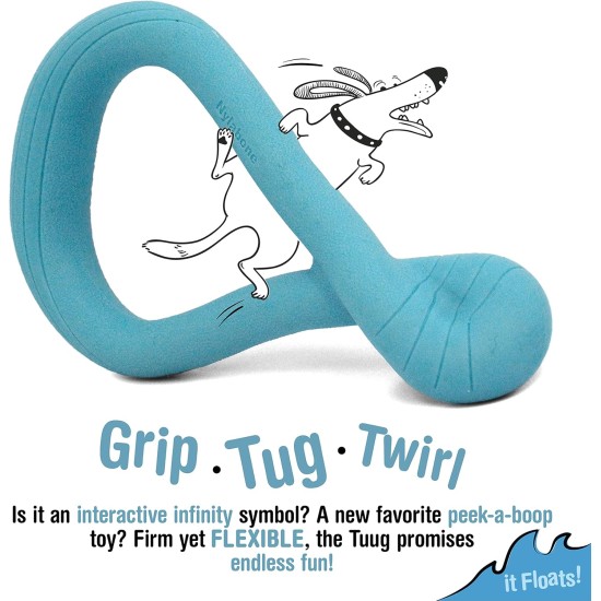 Nylabone Eggi Interactive Dog Toy for Small Dogs - Lightweight Bouncing Floating Dog Toy for Creative Play & Dog Exercises Nylabone Eggi Interactive Dog Toy for Small Dogs - Lightweight Bouncing Floating Dog Toy for Creative Play & Dog Exercises