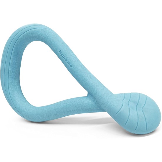 Nylabone Eggi Interactive Dog Toy for Small Dogs - Lightweight Bouncing Floating Dog Toy for Creative Play & Dog Exercises Nylabone Eggi Interactive Dog Toy for Small Dogs - Lightweight Bouncing Floating Dog Toy for Creative Play & Dog Exercises