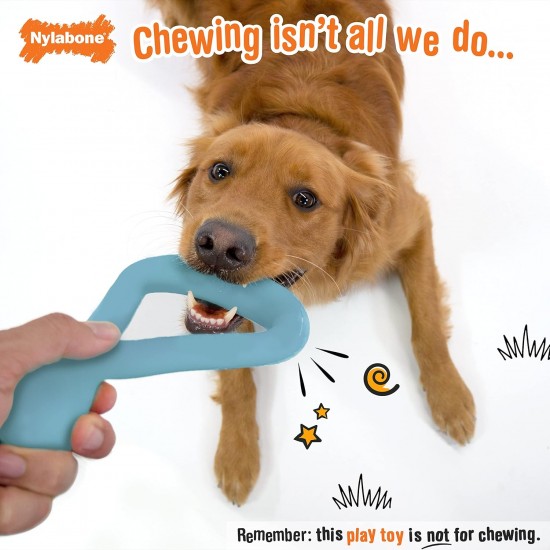 Nylabone Eggi Interactive Dog Toy for Small Dogs - Lightweight Bouncing Floating Dog Toy for Creative Play & Dog Exercises Nylabone Eggi Interactive Dog Toy for Small Dogs - Lightweight Bouncing Floating Dog Toy for Creative Play & Dog Exercises