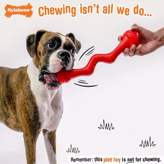 Nylabone Eggi Interactive Dog Toy for Small Dogs - Lightweight Bouncing Floating Dog Toy for Creative Play & Dog Exercises Nylabone Eggi Interactive Dog Toy for Small Dogs - Lightweight Bouncing Floating Dog Toy for Creative Play & Dog Exercises