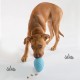 Nylabone Eggi Interactive Dog Toy for Small Dogs, Lightweight, Bouncy, Buoyant, for Creative Play & Dog Training Nylabone Eggi Interactive Dog Toy for Small Dogs, Lightweight, Bouncy, Buoyant, for Creative Play & Dog Training