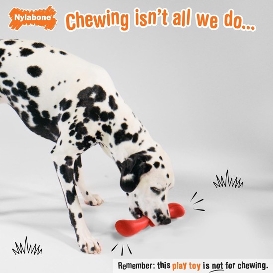 Nylabone Eggi Interactive Dog Toy for Small Dogs, Lightweight, Bouncy, Buoyant, for Creative Play & Dog Training Nylabone Eggi Interactive Dog Toy for Small Dogs, Lightweight, Bouncy, Buoyant, for Creative Play & Dog Training