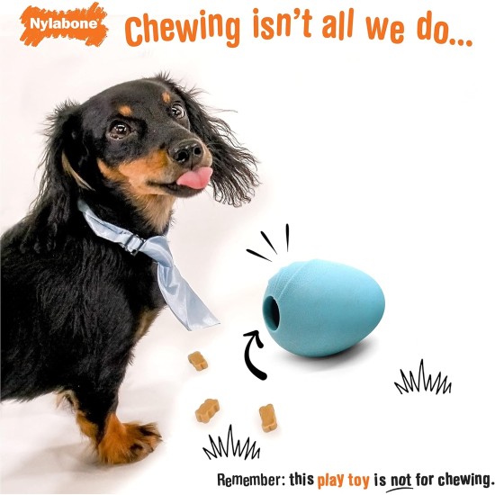 Nylabone Eggi Interactive Dog Toy for Small Dogs, Lightweight, Bouncy, Buoyant, for Creative Play & Dog Training Nylabone Eggi Interactive Dog Toy for Small Dogs, Lightweight, Bouncy, Buoyant, for Creative Play & Dog Training