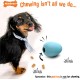Nylabone Eggi Interactive Dog Toy for Small Dogs, Lightweight, Bouncy, Buoyant, for Creative Play & Dog Training Nylabone Eggi Interactive Dog Toy for Small Dogs, Lightweight, Bouncy, Buoyant, for Creative Play & Dog Training