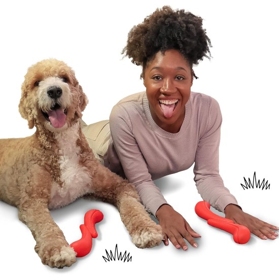 Nylabone Eggi Interactive Dog Toy for Small Dogs, Lightweight, Bouncy, Buoyant, for Creative Play & Dog Training Nylabone Eggi Interactive Dog Toy for Small Dogs, Lightweight, Bouncy, Buoyant, for Creative Play & Dog Training