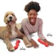 Nylabone Eggi Interactive Dog Toy for Small Dogs, Lightweight, Bouncy, Buoyant, for Creative Play & Dog Training Nylabone Eggi Interactive Dog Toy for Small Dogs, Lightweight, Bouncy, Buoyant, for Creative Play & Dog Training