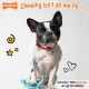 Nylabone Eggi Interactive Dog Toy for Small Dogs, Lightweight, Bouncy, Buoyant, for Creative Play & Dog Training Nylabone Eggi Interactive Dog Toy for Small Dogs, Lightweight, Bouncy, Buoyant, for Creative Play & Dog Training