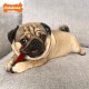 Nylabone Extreme Power Chew Basted Blast Double Flavoured Dog Chew Toy - Small/Normal - For Dogs up to 11kg (Pack of 2) Nylabone Extreme Power Chew Basted Blast Double Flavoured Dog Chew Toy - Small/Normal - For Dogs up to 11kg (Pack of 2)