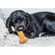 Nylabone Puppy Stages Triple Pack, Gentle Chicken Starter Chew, Graduate Maple Bacon Wood Stick, Graduate Beef Jerky Extreme Bone, Medium (1 Pack of 3 Chews) Nylabone Puppy Stages Triple Pack, Gentle Chicken Starter Chew, Graduate Maple Bacon Wood Stick, Graduate Beef Jerky Extreme Bone, Medium (1 Pack of 3 Chews)