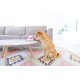 Outward Hound Fattiez Round Squeaky Sounds Plush Dog Toy Outward Hound Fattiez Round Squeaky Sounds Plush Dog Toy