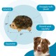 Outward Hound Hedgehogz - Plüsch-Hundespielzeug - Igel - Braun - S Outward Hound Hedgehogz - Plüsch-Hundespielzeug - Igel - Braun - S