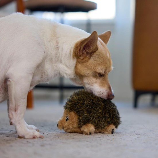 Outward Hound Hedgehogz - Plüsch-Hundespielzeug - Igel - Braun - S Outward Hound Hedgehogz - Plüsch-Hundespielzeug - Igel - Braun - S