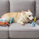 Outward Hound Hide A Lama Plush Dog Toy Puzzle Outward Hound Hide A Lama Plush Dog Toy Puzzle