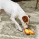 Outward Hound Invincibles Minis - Quietsch-Hundespielzeug - Mini-Huhn - strapazierfähig - Gelb - XS Outward Hound Invincibles Minis - Quietsch-Hundespielzeug - Mini-Huhn - strapazierfähig - Gelb - XS