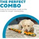 Outward Hound Kyjen 32071 Invincibles Plush Gecko without Stuffing, Durable Dog Toy, Squeaky Toy with 2 Squeakers, Small, Red/Orange Outward Hound Kyjen 32071 Invincibles Plush Gecko without Stuffing, Durable Dog Toy, Squeaky Toy with 2 Squeakers, Small, Red/Orange