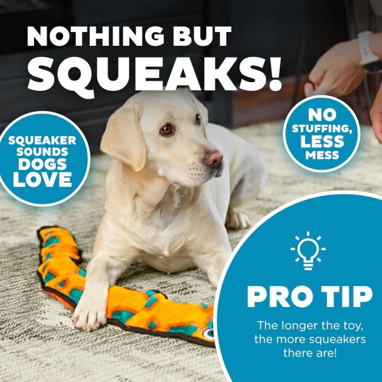 Outward Hound Kyjen 32071 Invincibles Plush Gecko without Stuffing, Durable Dog Toy, Squeaky Toy with 2 Squeakers, Small, Red/Orange Outward Hound Kyjen 32071 Invincibles Plush Gecko without Stuffing, Durable Dog Toy, Squeaky Toy with 2 Squeakers, Small, Red/Orange