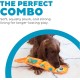 Outward Hound Kyjen 32071 Invincibles Plush Gecko without Stuffing, Durable Dog Toy, Squeaky Toy with 2 Squeakers, Small, Red/Orange Outward Hound Kyjen 32071 Invincibles Plush Gecko without Stuffing, Durable Dog Toy, Squeaky Toy with 2 Squeakers, Small, Red/Orange