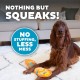 Outward Hound Kyjen 32071 Invincibles Plush Gecko without Stuffing, Durable Dog Toy, Squeaky Toy with 2 Squeakers, Small, Red/Orange Outward Hound Kyjen 32071 Invincibles Plush Gecko without Stuffing, Durable Dog Toy, Squeaky Toy with 2 Squeakers, Small, Red/Orange
