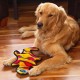 Outward Hound Kyjen 32071 Invincibles Plush Gecko without Stuffing, Durable Dog Toy, Squeaky Toy with 2 Squeakers, Small, Red/Orange Outward Hound Kyjen 32071 Invincibles Plush Gecko without Stuffing, Durable Dog Toy, Squeaky Toy with 2 Squeakers, Small, Red/Orange