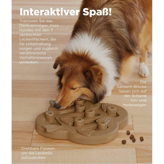Outward Hound Nina Ottosson Dog Hide N’ Slide, Interactive Dog Toy for Treats, Purple Outward Hound Nina Ottosson Dog Hide N’ Slide, Interactive Dog Toy for Treats, Purple