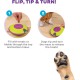 Outward Hound Nina Ottosson Dog Hide N’ Slide, Interactive Dog Toy for Treats, Purple Outward Hound Nina Ottosson Dog Hide N’ Slide, Interactive Dog Toy for Treats, Purple