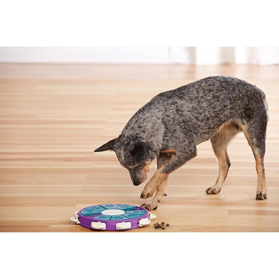 Outward Hound Nina Ottosson Dog Hide N’ Slide, Interactive Dog Toy for Treats, Purple Outward Hound Nina Ottosson Dog Hide N’ Slide, Interactive Dog Toy for Treats, Purple