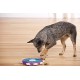 Outward Hound Nina Ottosson Dog Hide N’ Slide, Interactive Dog Toy for Treats, Purple Outward Hound Nina Ottosson Dog Hide N’ Slide, Interactive Dog Toy for Treats, Purple