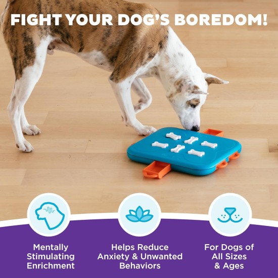 Outward Hound Nina Ottosson Dog Hide N’ Slide, Interactive Dog Toy for Treats, Purple Outward Hound Nina Ottosson Dog Hide N’ Slide, Interactive Dog Toy for Treats, Purple
