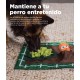 Outward Hound Nina Ottosson Lickin' Layers, Interactive Intelligence Toy for Dogs, for Slower Eating Speeds Outward Hound Nina Ottosson Lickin' Layers, Interactive Intelligence Toy for Dogs, for Slower Eating Speeds